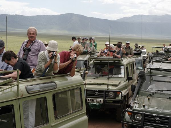 tourists-visit-serengeti_11960_600x450